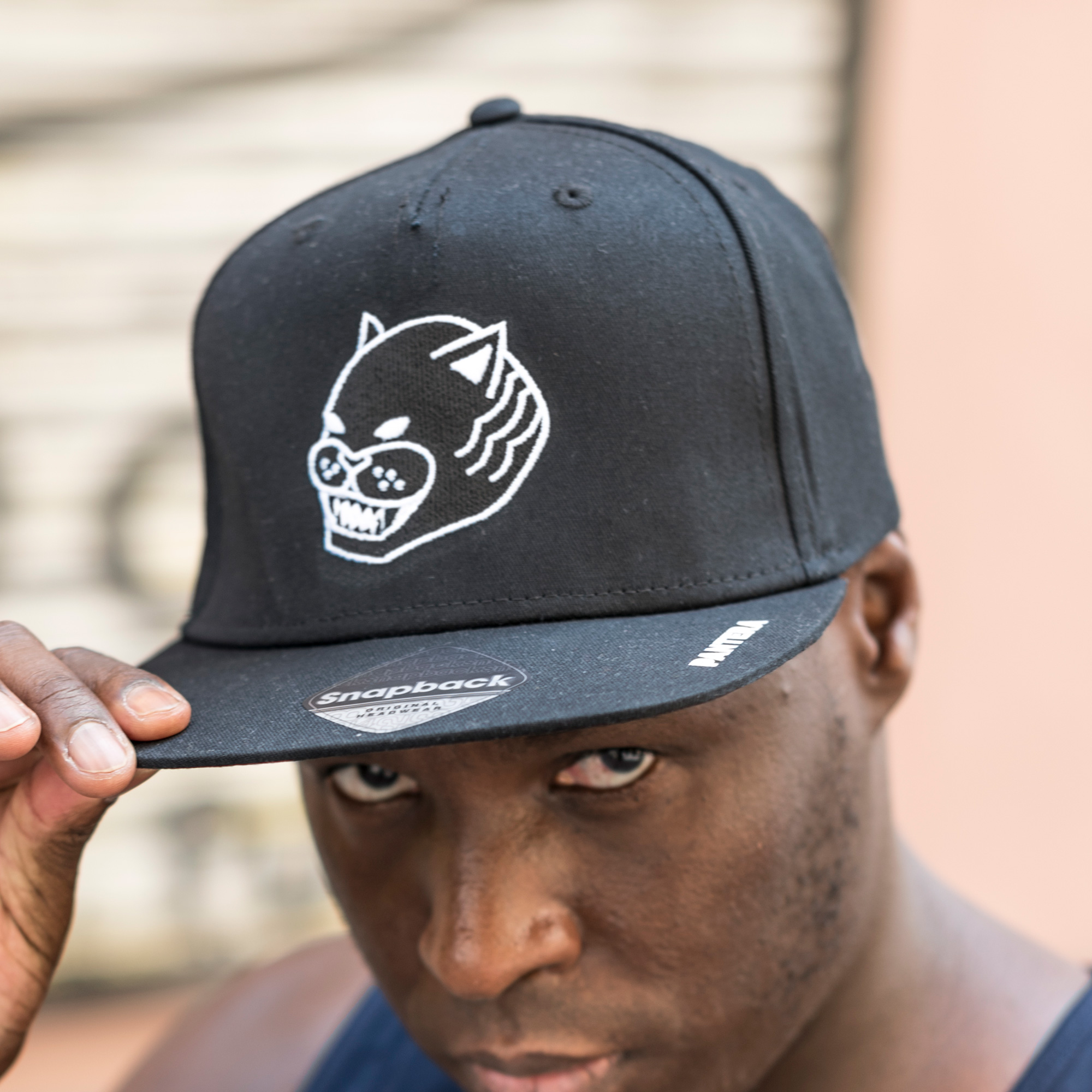 Gorra Pantera negra